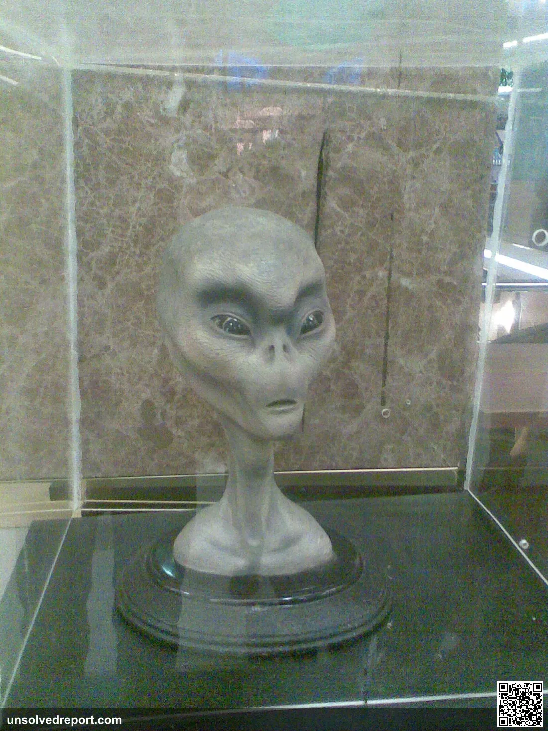 Bust of a gray alien in a UFO museum in the city of Diyarbakir. The Grays, an alledged group of gray colored races with…
