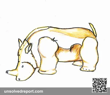 The golden rhinoceros of Mapungubwe — a gold-foil figurine from a 13th-century royal burial on Mapungubwe Hill, Limpopo, South Africa