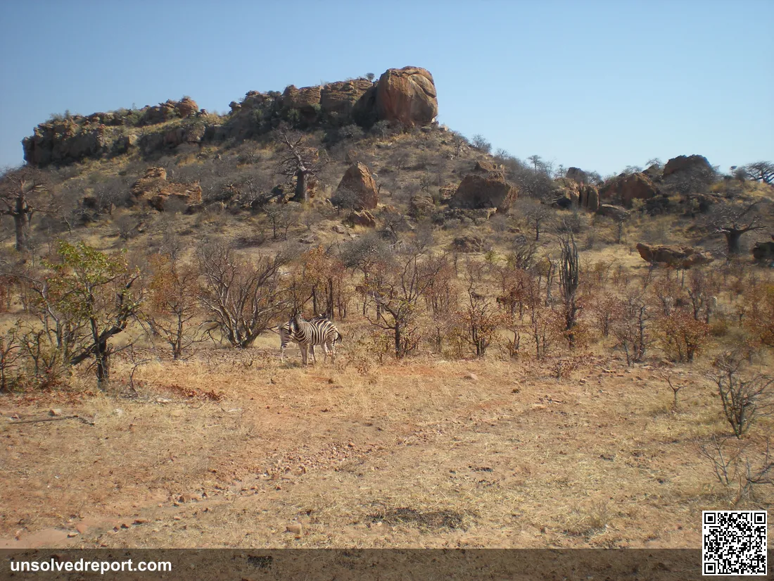 Landscape in Mapungubwe National Park, Limpopo Province, South Africa — the region where the Kingdom of Mapungubwe once flourished