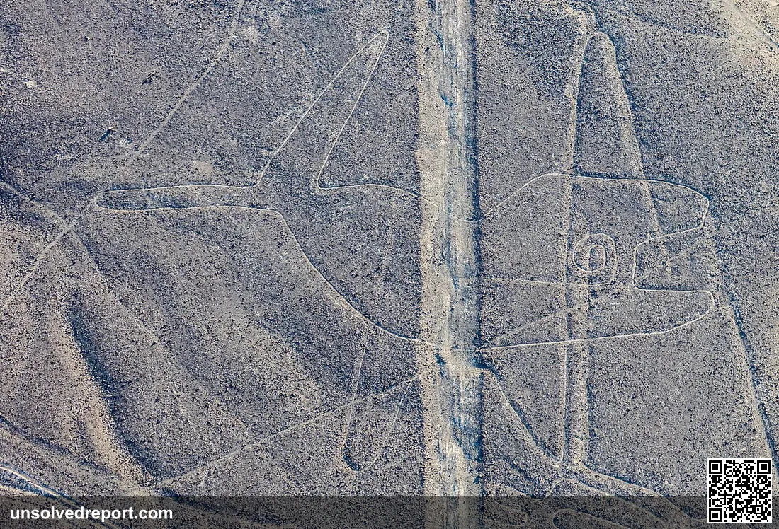 Aerial view of the "Whale", one of the geoglyphs of the Nazca Lines, which are located in the Nazca Desert in southern …