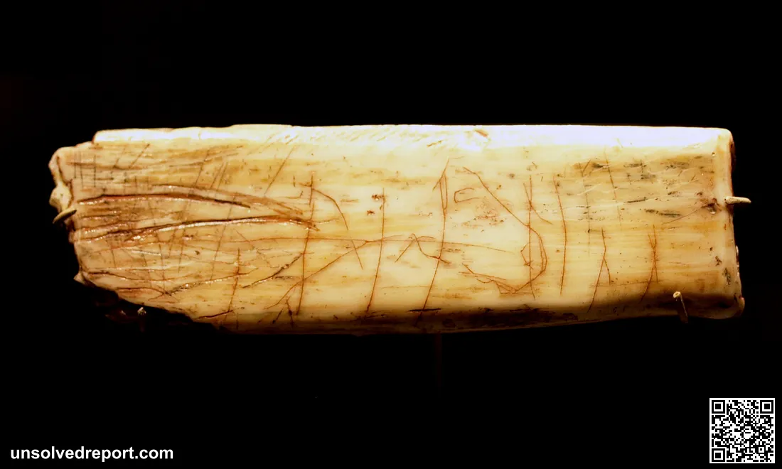 The Robin Hood Cave Horse (the "Ochre Horse"), the genuine ~12,500-year-old engraved rib from Creswell Crags that the Sherborne forgery resembles.