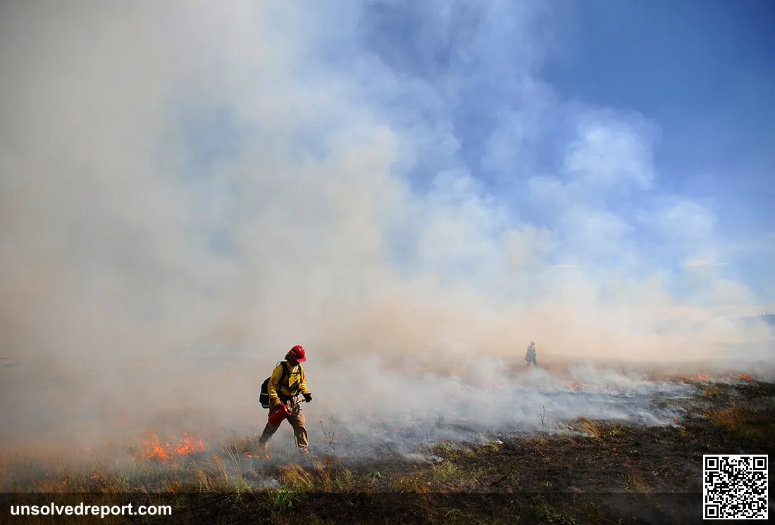 Eric Rosenquist walks through a controlled burn fire line. This summer, Fort Lewis Fish and Wildlife Department has tea…